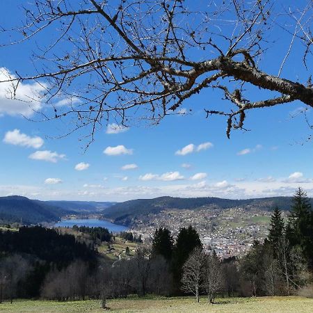 Studio Des Gouttridos Apartament Gérardmer Zewnętrze zdjęcie